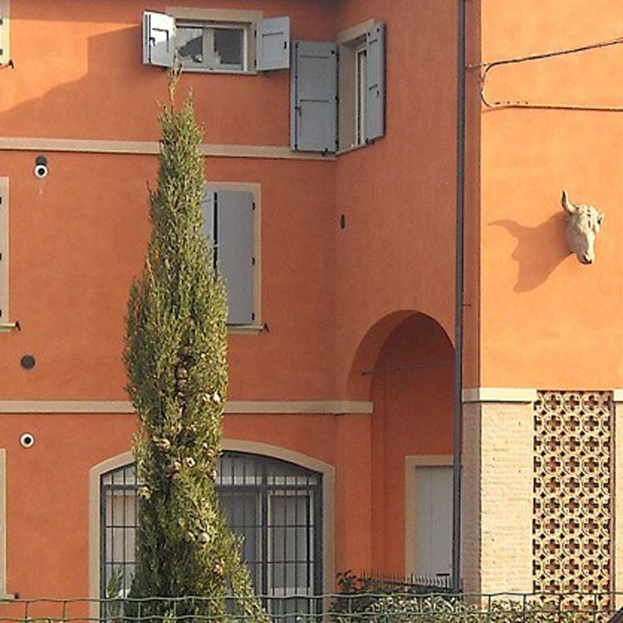 Pioppi cipressini 5